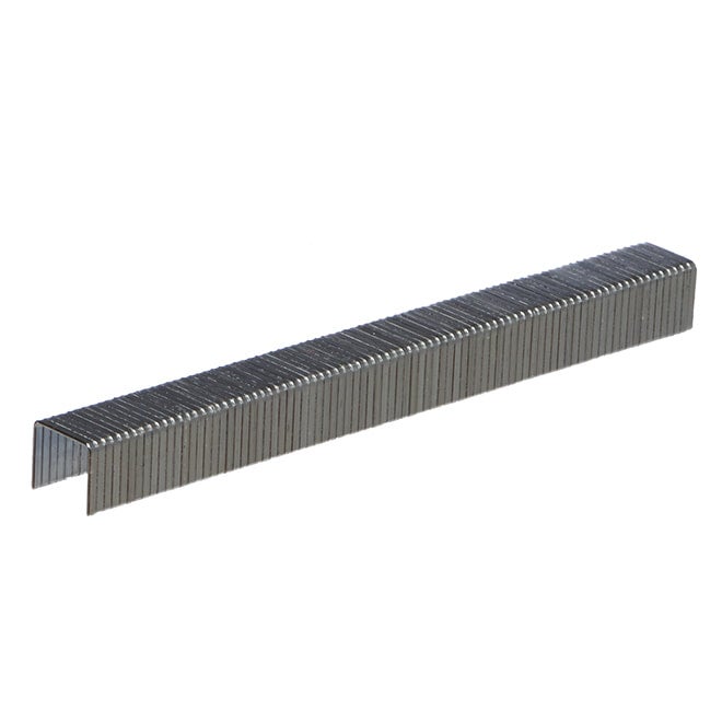 PRIME - 3/8 T50 Hammer Tacker Staples | Capital Fastener